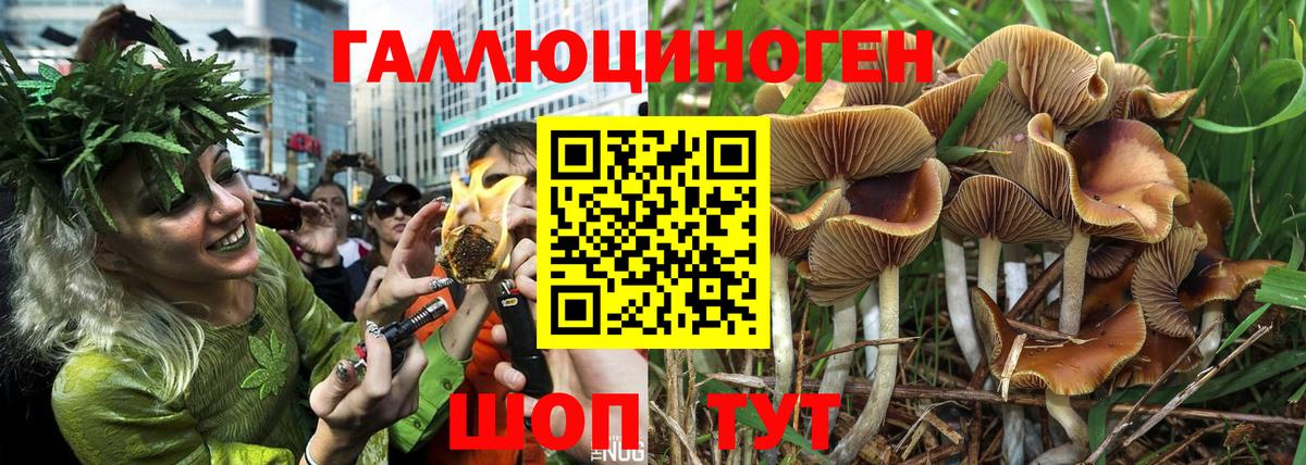 Галлюциногенные грибы прущие грибы Ленинск-Кузнецкий