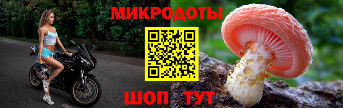 Ленинск-Кузнецкий  Псилоцибиновые грибы мухоморы  Вход с VPN 